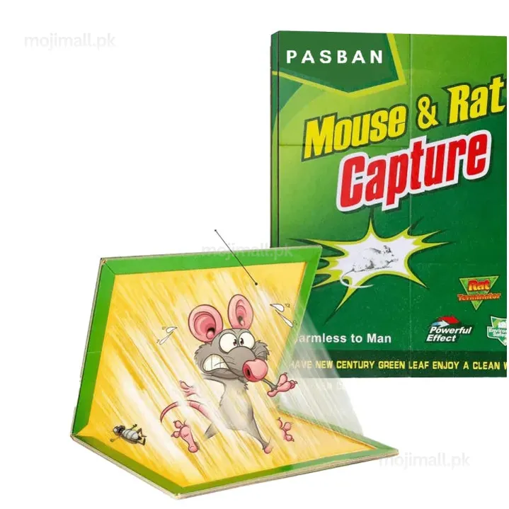 PASBAN RAT BOOK LOCAL
