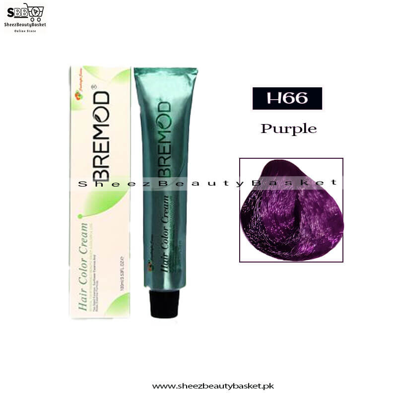 BREMOD-H66-100ML-HAIR-COLOUR
